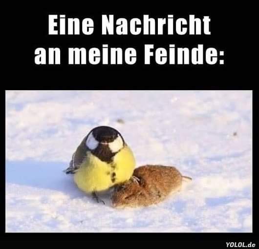 Feind der Feind - wróg