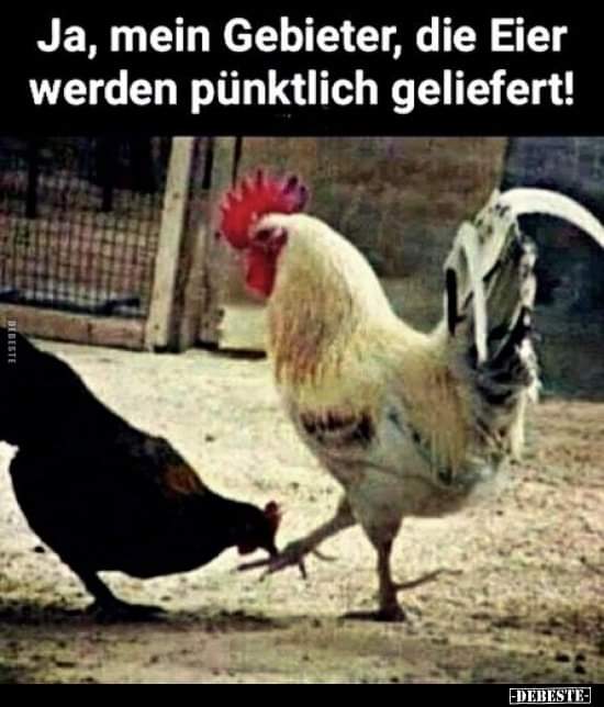 pünktlich - punktualny, punktualnie