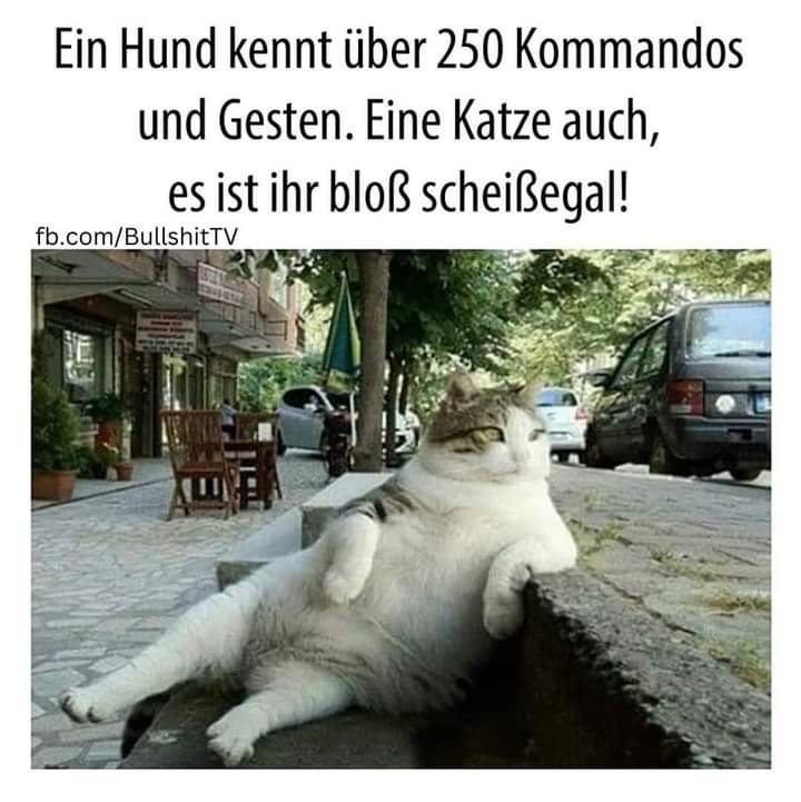 bloß - goły, nagi, tylko, jedynie