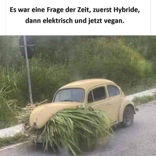 elektrisch - elektryczny