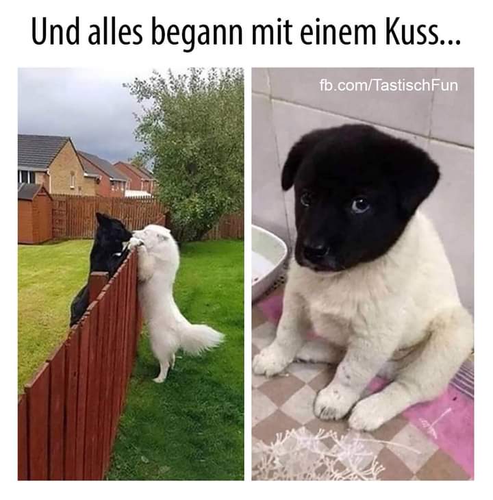 der Kuss - pocałunek, całus