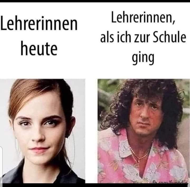die Lehrerin - nauczycielka