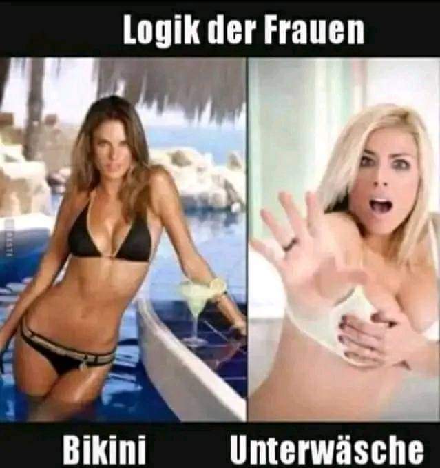 die Logik - logika