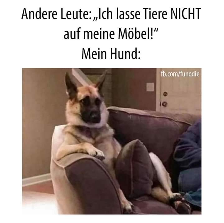 das Möbel - mebel