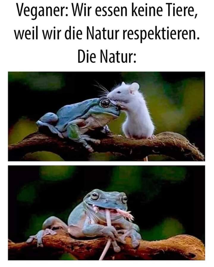 die Natur - natura, przyroda, charakter
