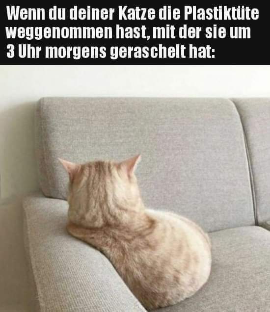 die Plastiktüte - torebka plastikowa, torebka foliowa
