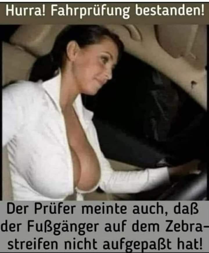 der Zebrastreifen - przejście dla pieszych, pasy