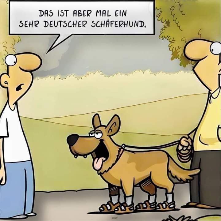 der Schäferhund - owczarek niemiecki, wilczur