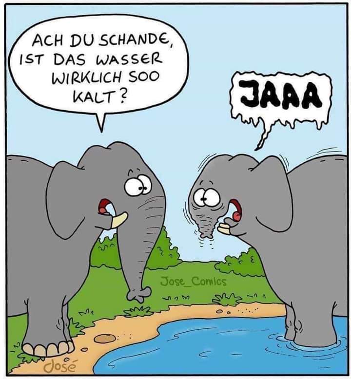 die Schande - hańba