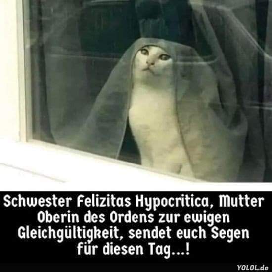 der Segen - błogosławieństwo, dobrodziejstwo, zgoda, pozwolenie