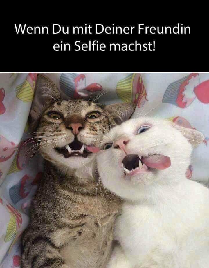 das Selfie - selfie, samojebka, masturbacja