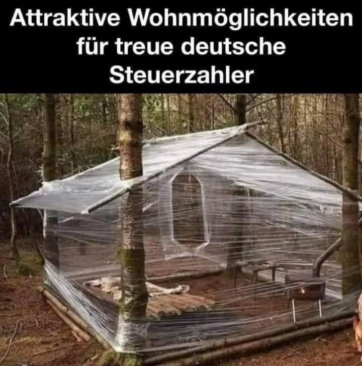 der Steuerzahler - płatnik podatków, podatnik