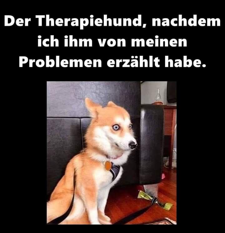 die Therapie - terapia