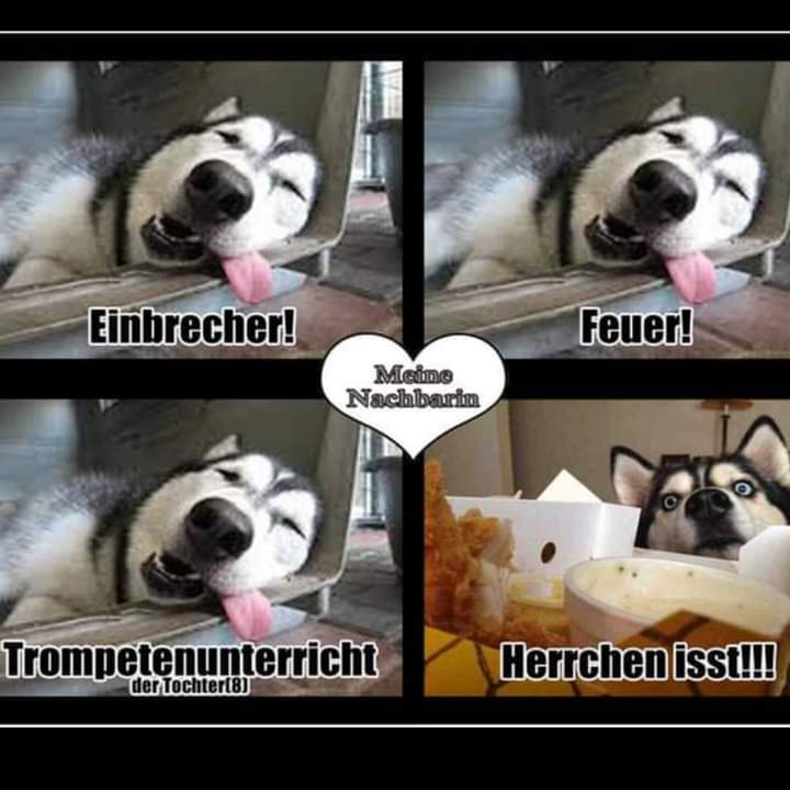 die Trompete - trąbka