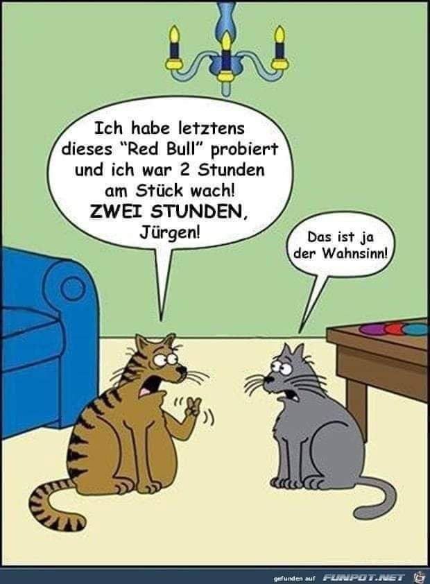 probieren