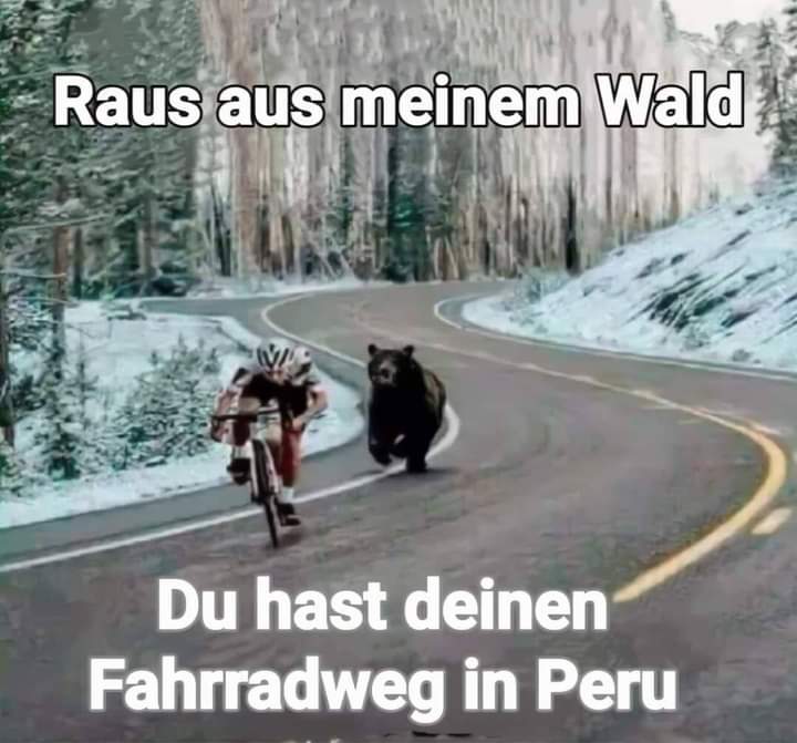 der Wald - las