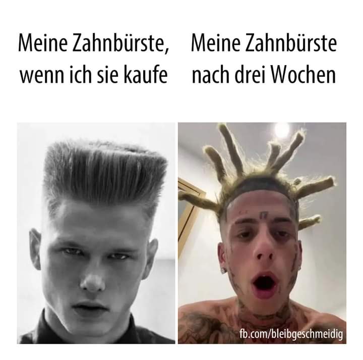 die Zahnbürste - szczoteczka do zębów