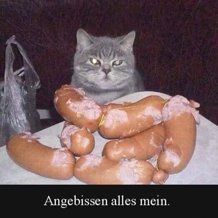 anbeißen - nadgryźć, nadjeść, brać, połknąć haczyk