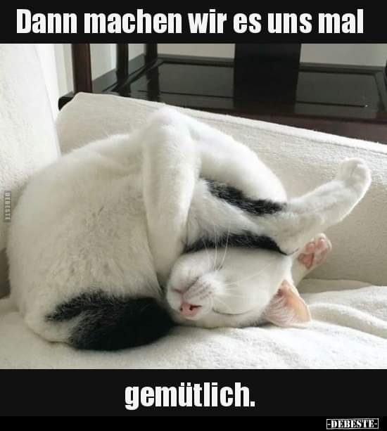 gemütlich - przyjemny, przytulny, wygodny, przyjemnie, przytulnie