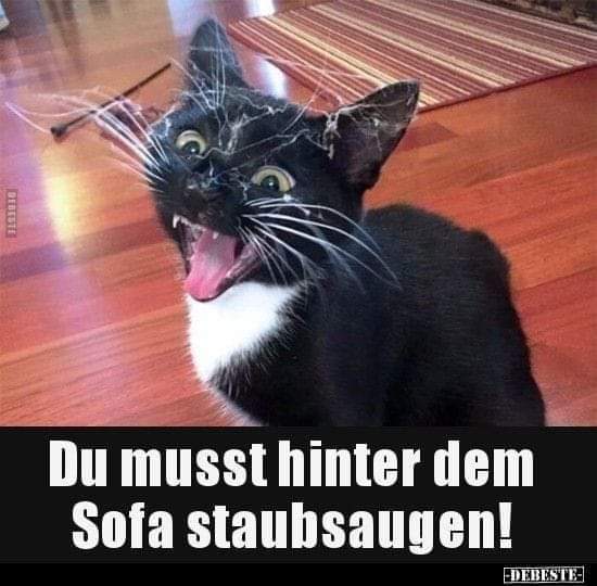 hinter - za, poza