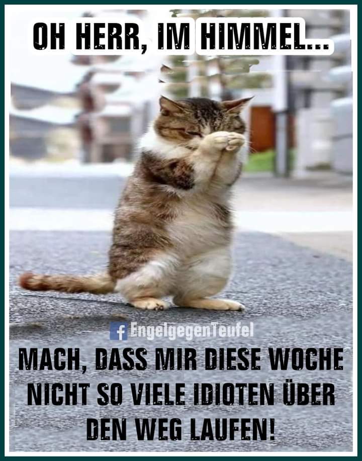 die Woche - tydzień