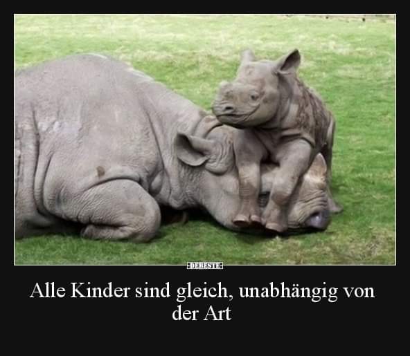 die Art - sposób, metoda, rodzaj, gatunek
