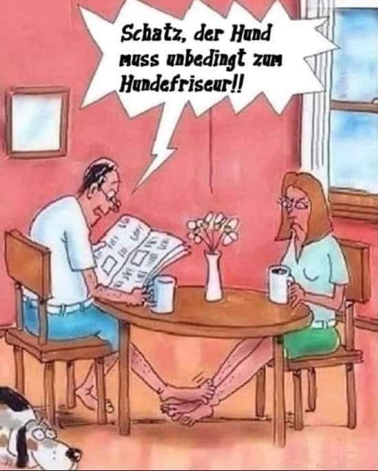unbedingt - bezwarunkowy, konieczny, niezbędny, bezwarunkowo, koniecznie