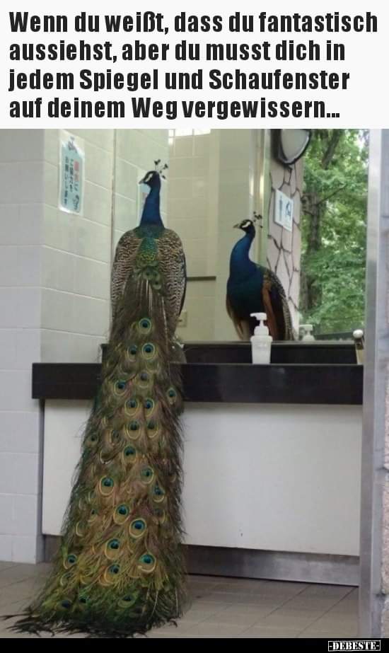 vergewissern - upewniać się