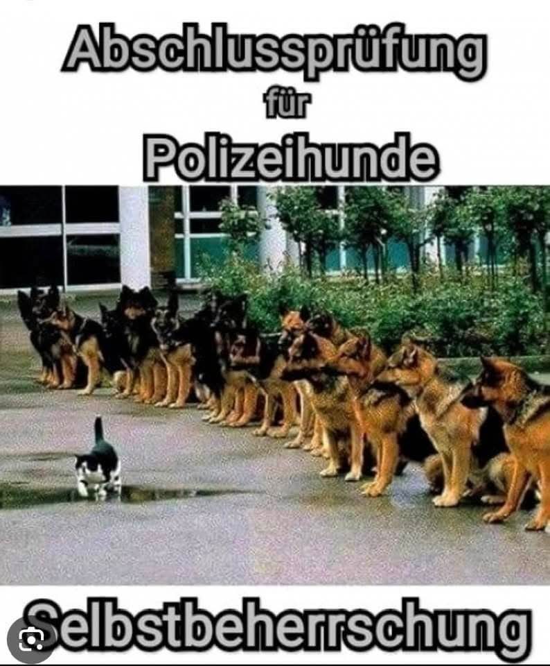 die Abschlussprüfung - egzamin końcowy