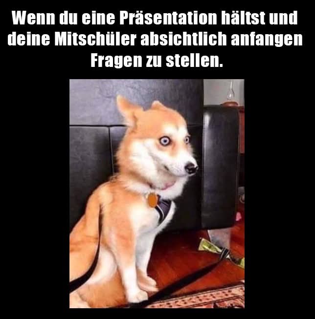 die Präsentation - prezentacja