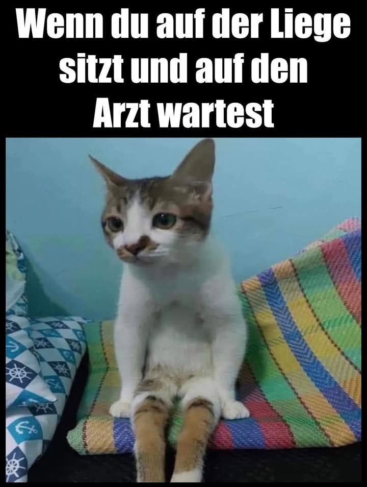 die Liege - leżanka, tapczan