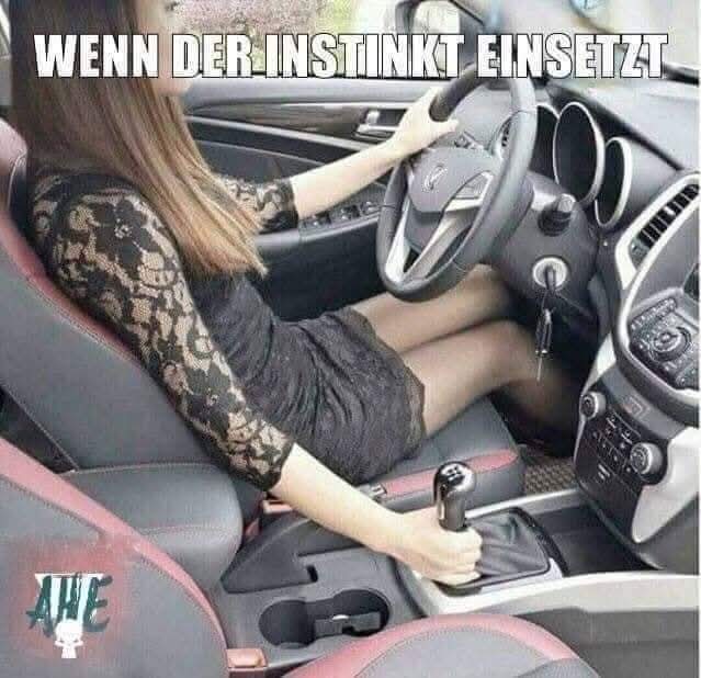 einsetzen - wsadzać, wstawiać, wprawiać, umieszczać, ustanawiać