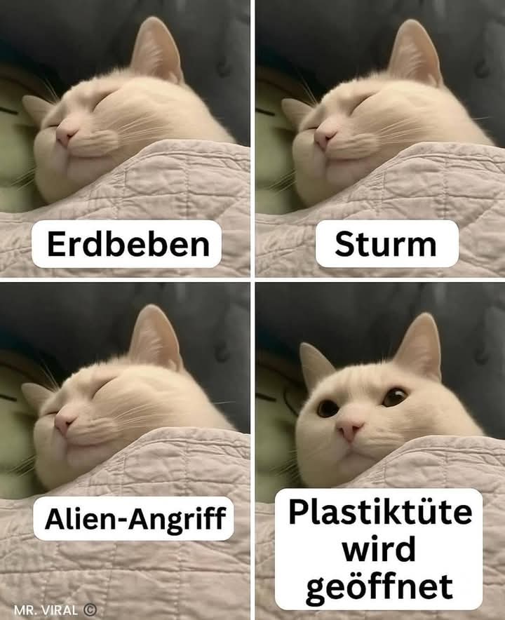 der Sturm - burza, nawałnica, wichura, sztorm