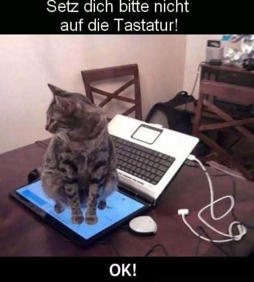Taxtatur