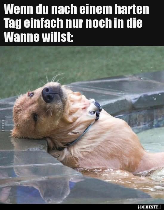 die Wanne - wanna