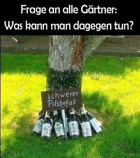 dagegen