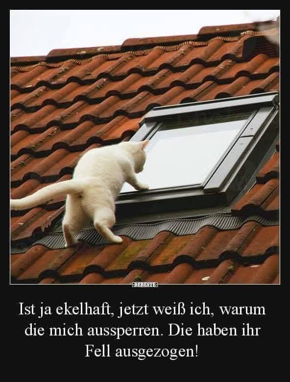 ekelhaft
