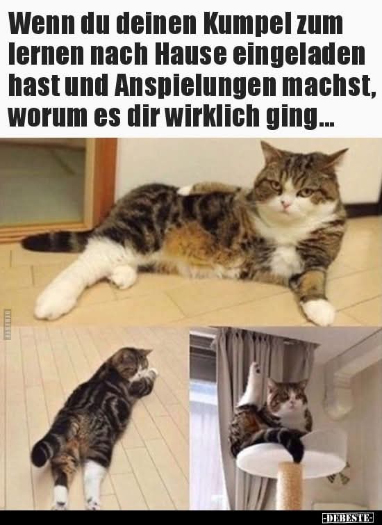 die Anspielung - aluzja