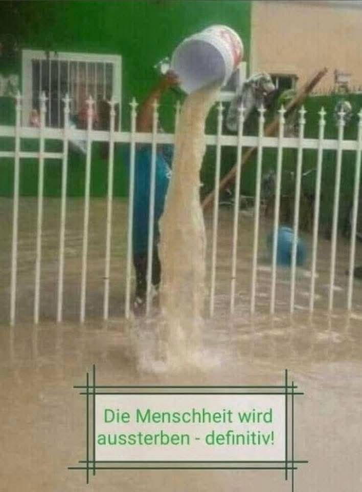 definitiv