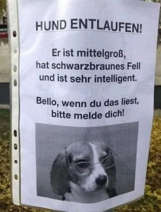 entlaufen