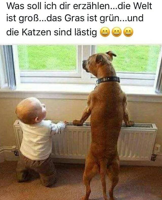lastig