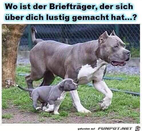 Brieftrager
