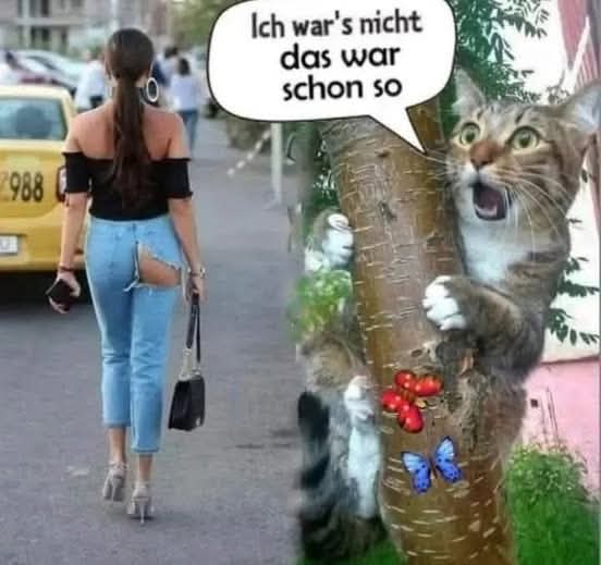 so - tak, taki, w taki sposób