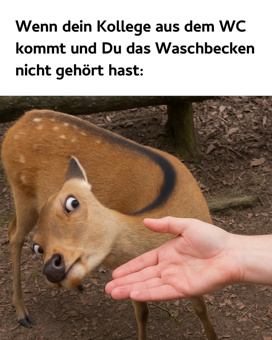 waschbecken