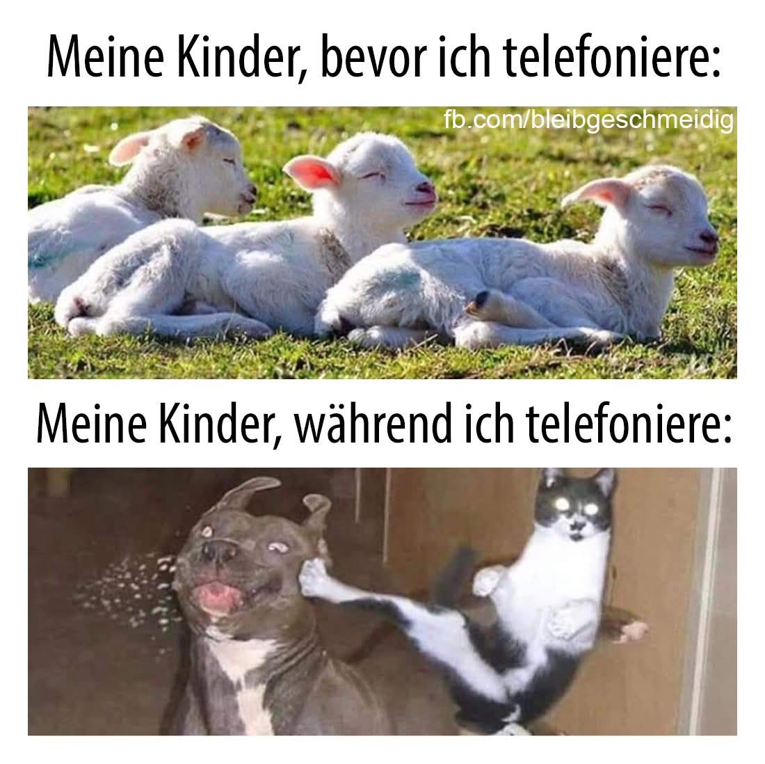 telefonieren - telefonować, dzwonić