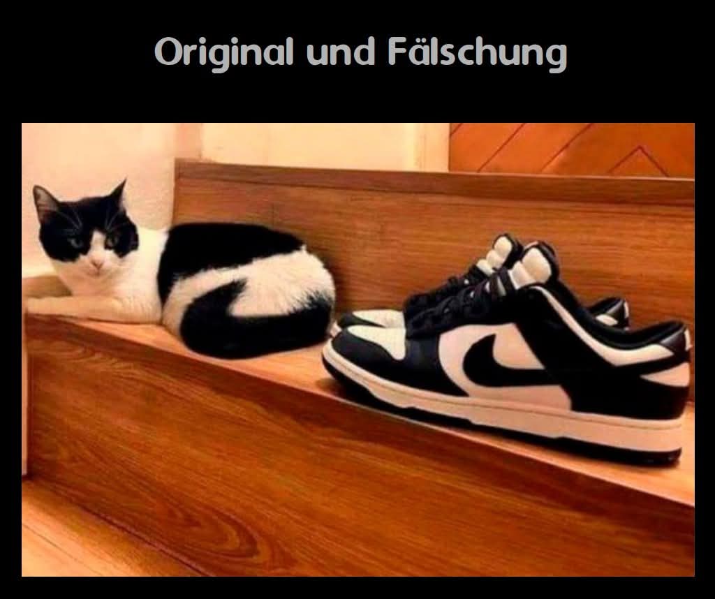 Falschung