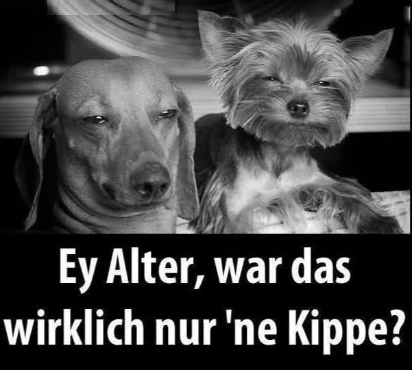die Kippe - przerzut, przewrotka