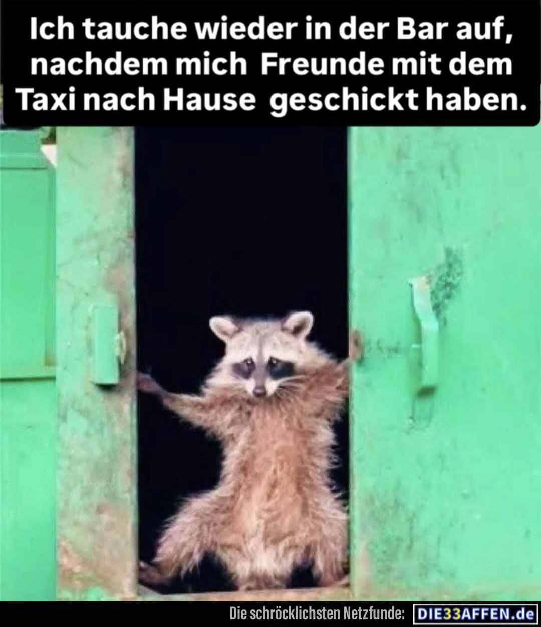 auftauchen