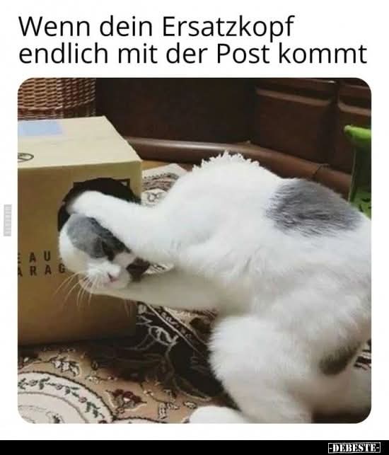 der Ersatz - odszkodowanie, rekompensata, substytut, namiastka
