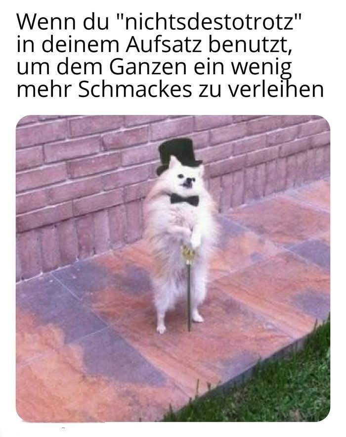 nichtsdestotrotz